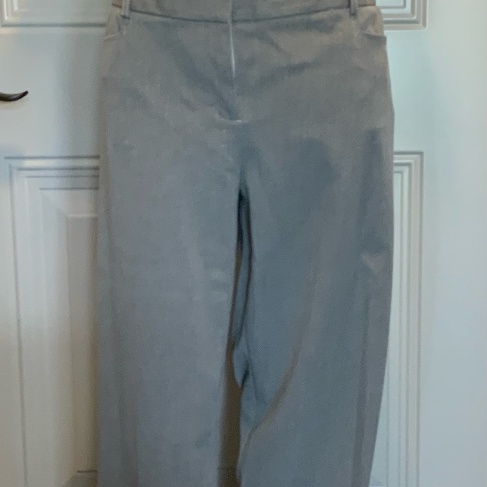 Express Columnist Pant Size 12 - image 1